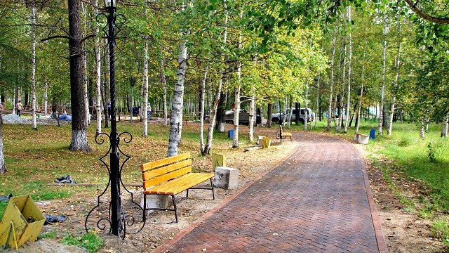 Тындинский парк обработают от клещей.