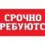 В кафе "Плов-цент" требуются официанты и кухонные рабочие.