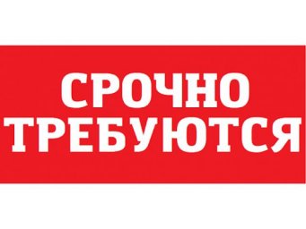 В МОАУ ГИМНАЗИЯ №2 требуется инженер-программист.